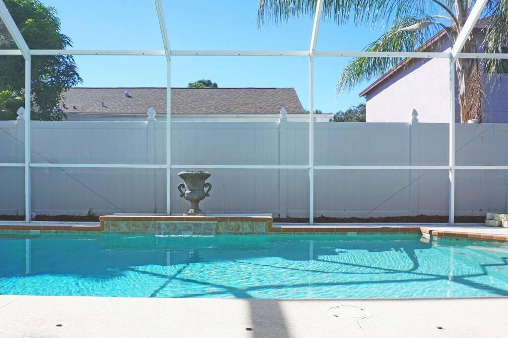 Charming 3be 2ba Solar Heated Pool * Tampa