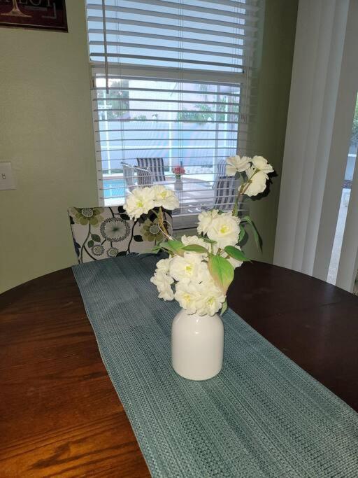 Charming 3be 2ba Solar Heated Pool Tampa